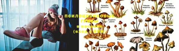 spice Абдулино