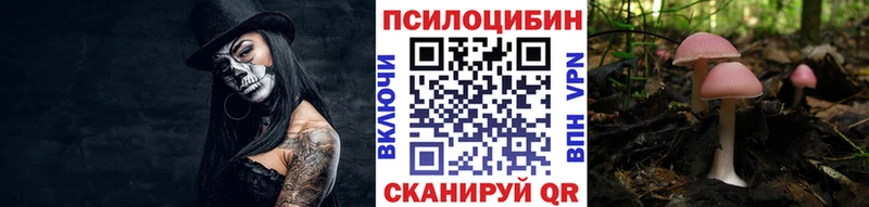 Псилоцибиновые грибы GOLDEN TEACHER  Трубчевск 