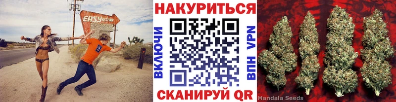 где купить   hydra вход  МАРИХУАНА индика  Трубчевск 